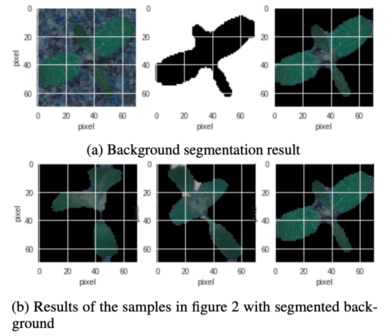 Deep Convolutional Neural Network for Plant Seedlings Classification ...